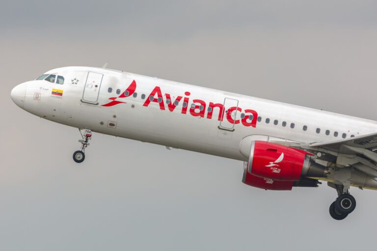 Following a bird strike impacting an Airbus A320s engine Avianca is pleading with Aerocivil for more measures against bird strikes